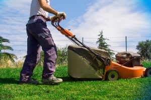 2021-jardineria 2021-jardineria